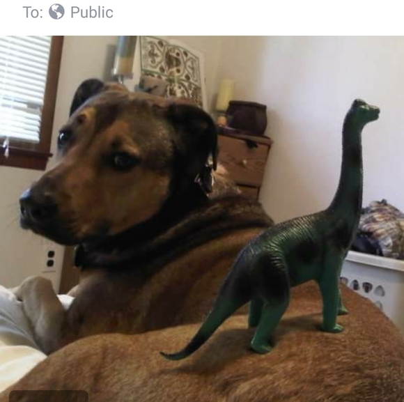 Meet your Posher, Jeffrey - Picture 1 of 1